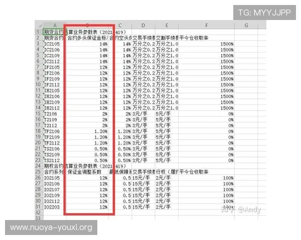明珠国际：投资者必看，了解其财务状况与盈利能力的详细分析